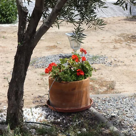Cortijo El Pinar 1 *