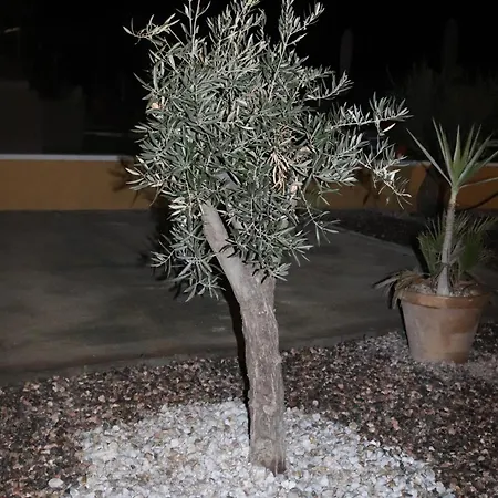 Cortijo El Pinar 1